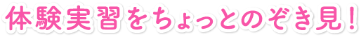体験学習をちょっとのぞき見!